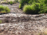 Flussdurchquerung (GPS-Waypoint SAMBUY), wenn der Fluss trocken ist