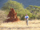 Thomas returns from photographing a termite mound