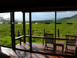 A room with a viewLake Nakuru Lodge