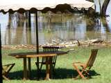 Table on the mostly flooded lawn, complete with crocodile